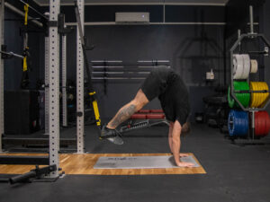 trx pike