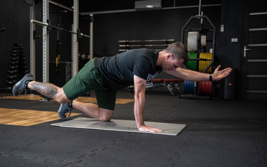 bird dog w trakcie pracy