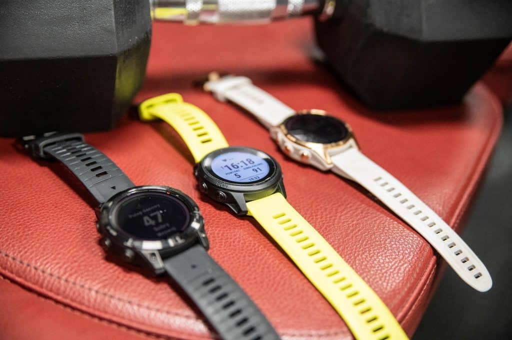 garminy z programem beta