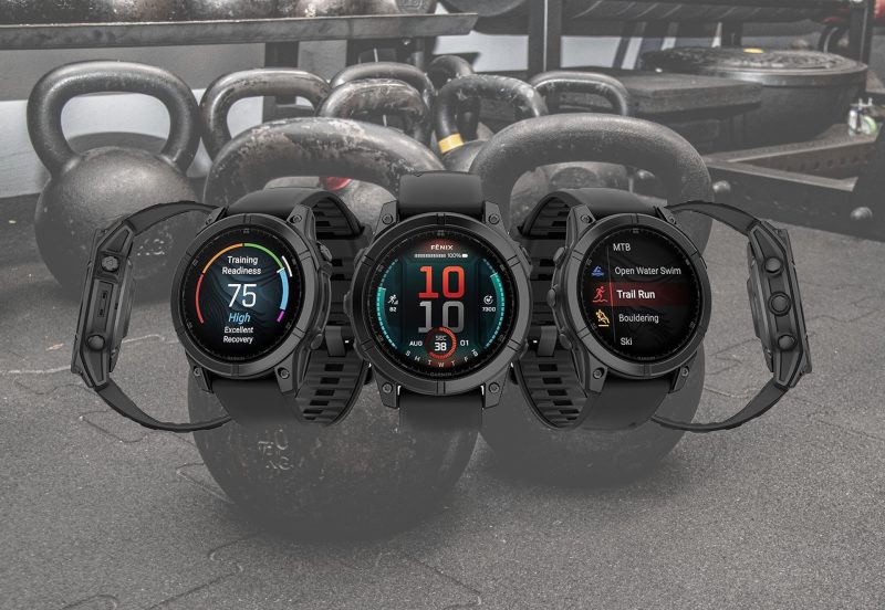 garmin fenix e