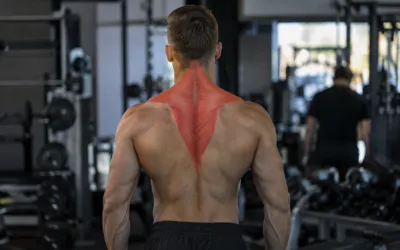 Mięsień czworoboczny (kaptury): anatomia, funkcje i ćwiczenia na każdą część 2 mięsień czworoboczny (trapezius)